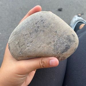 Pet rock